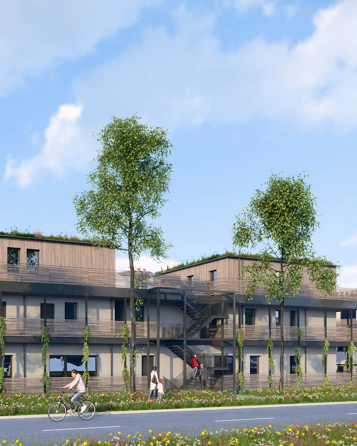 Rendering von den Königsteiner Höfen, welche von der Eberhard Horn Designgruppe entwicklet wurden