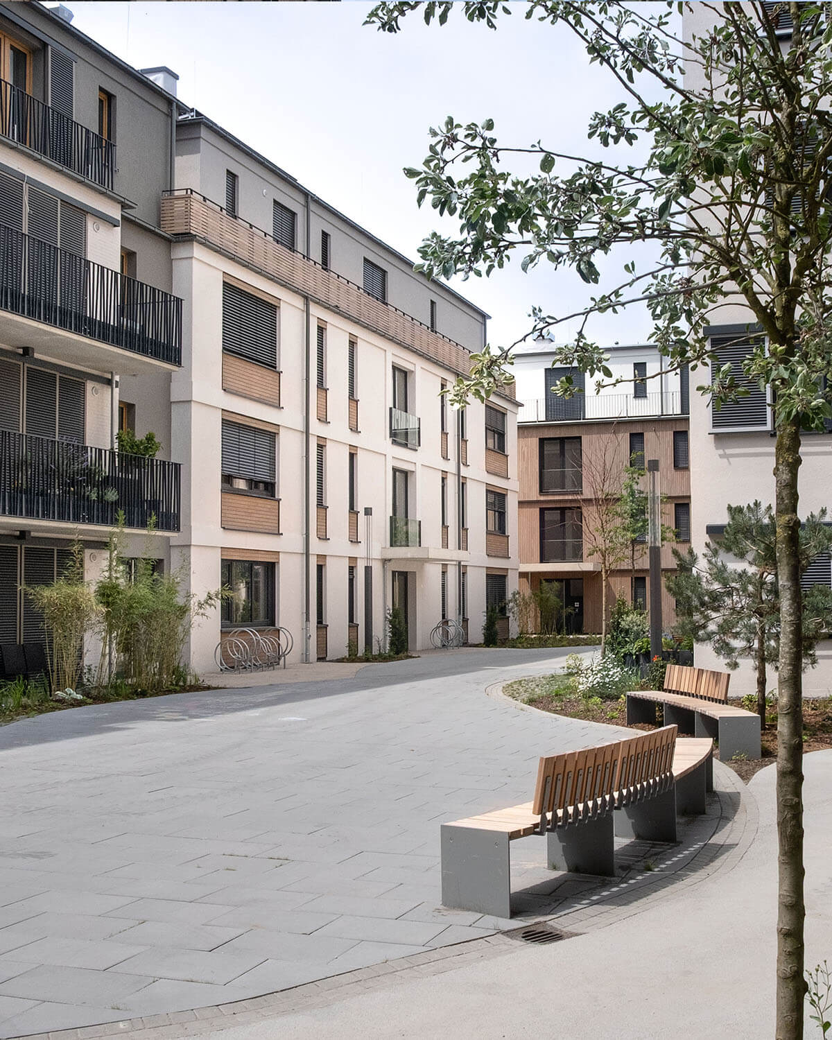 Schwammstadt Neubauprojekt geplant von Eberhard + Florian Horn