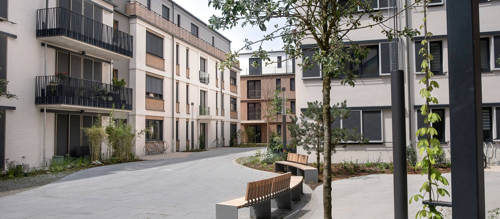Schwammstadt Neubauprojekt geplant von Eberhard + Florian Horn
