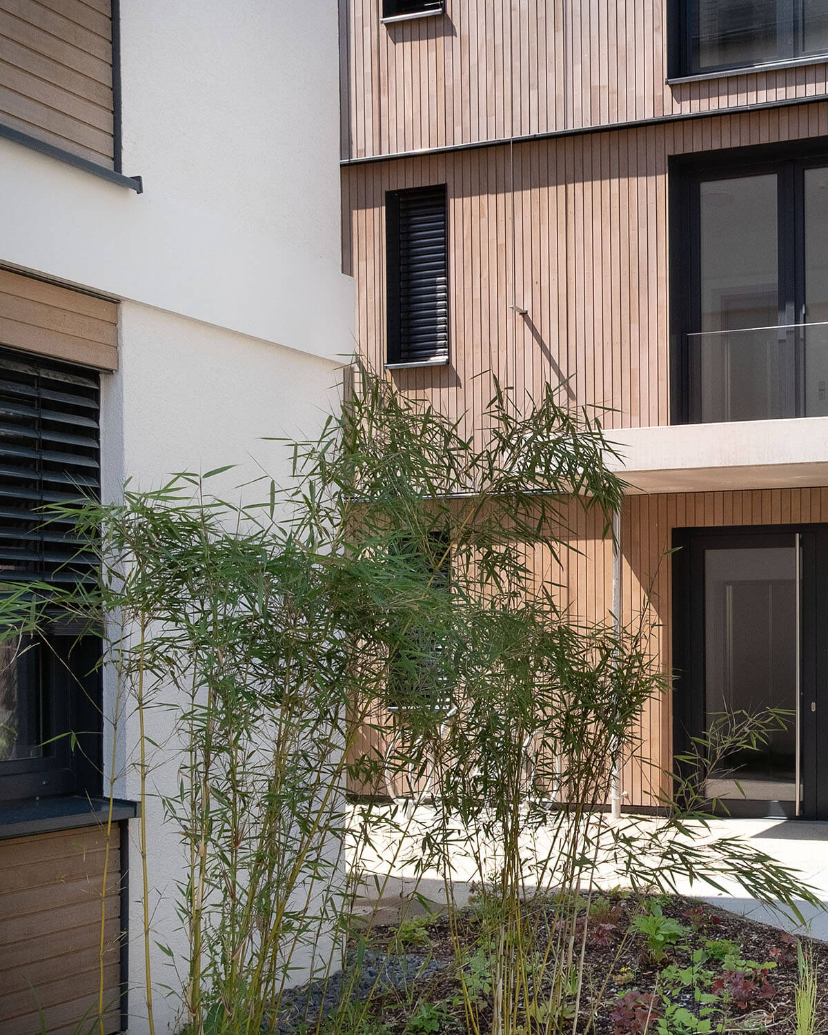 Eingansbereich Neubau Königsteiner Höfe, Gebäude mit Holzfassade